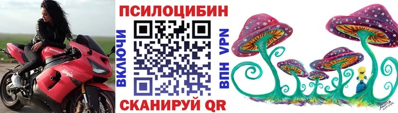 omg онион  Лыткарино  Псилоцибиновые грибы мицелий 