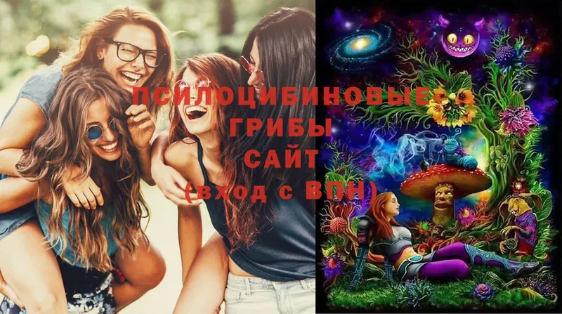 Галлюциногенные грибы Cubensis  Лыткарино 