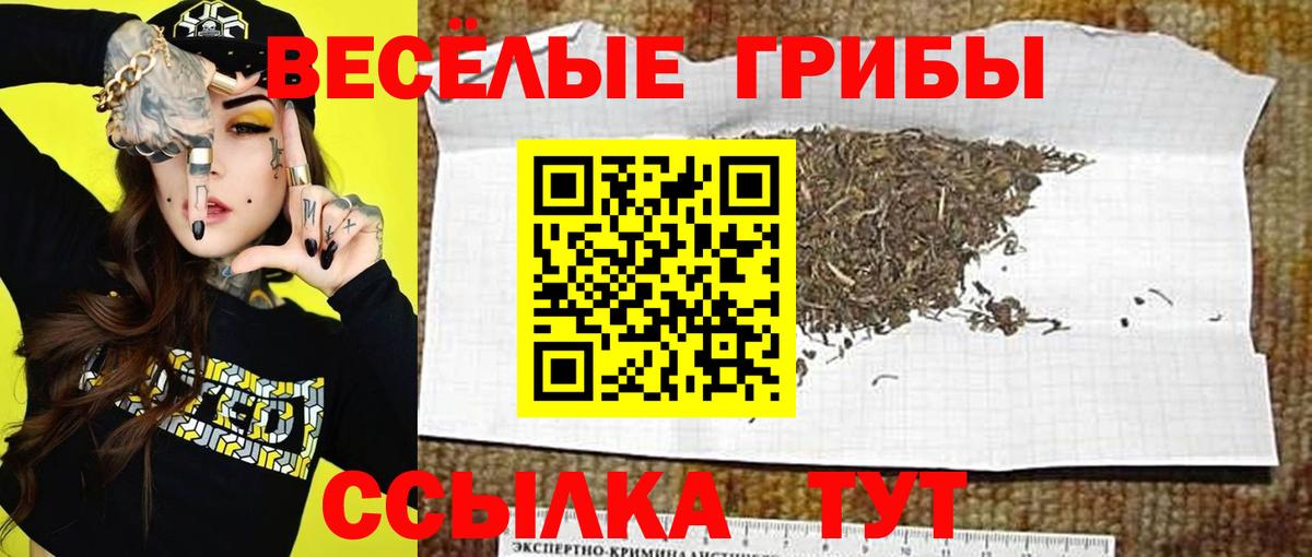 Лыткарино  Псилоцибиновые грибы прущие грибы  Вход с VPN 
