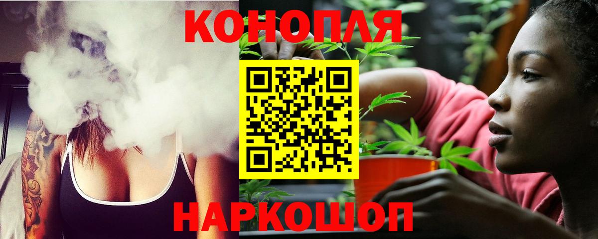 Каннабис ГИДРОПОН Лыткарино
